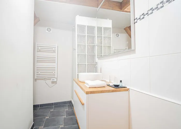 Apartament Triplex Cathedrale Parking Gratuit *